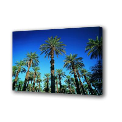 China Waterproof+ECO-Friendly Print My Own Canvas Palm Tree Home Office Contemporary Decor Art Printing on Canvas for sale