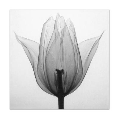 China Modern Simple Wall Decor Flower Modern Black And White Canvas Painting Print On Canvas for sale