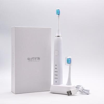 China Other Electric Toothbrush Waterproof Light Teeth Whitening Soinc Led Electric Toothbrush for sale