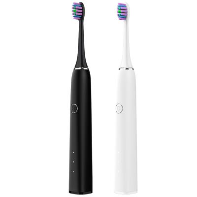 China Private label SN302 rechargeable whitening Dupont Sonic Toothbrush Electric Toothbrush rechargeable for sale