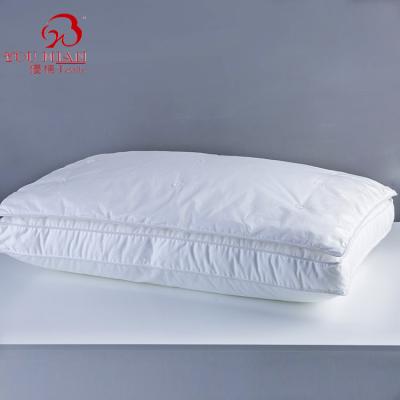 China Memory bed pillow, pillows for sleeping, standard size silk pillow for hotel for sale