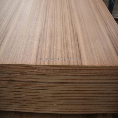 China Face Industrial Natural Walnut Wood Fancy Plywood for sale