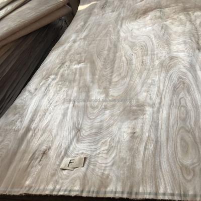 China Traditional atural Russia 0.30mm maple birch veneer for sale