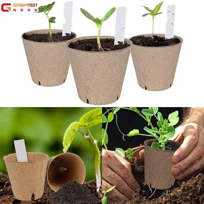 China 50Pcs Recyclable Biodegradable Peat Pots For Seedlings With Drainage Holes for sale