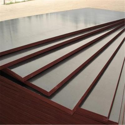 China Modern Phenolic Plywood Eucalyptus Anti-Slip Core 18MM 2440X1220 for sale