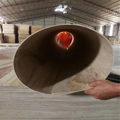 China Edlon 3mm 4mm 5mm 6mm Industrial Thickness Paulownia Birch Thin Bending Plywood For Furniture for sale