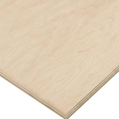 China Commercial Modern Canadian Maple Plywood Wood Products Edlon Plywood Suppliers 12mm 18mmm 19mm With Panel Price for sale