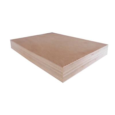 China Modern Edlon Many Types Building Decoration Maple Hardwood Wood Timber for sale