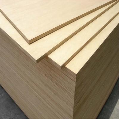 China Hotel Commercial Edlon Birch Veneer Paulownia Core 9mm 12mm 18mm Plywood 1220x2440mm for sale