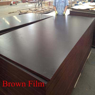 China Modern Edlon Wood Products Qatar Plywood Price 18mm Brown Film Faced Plywood for sale