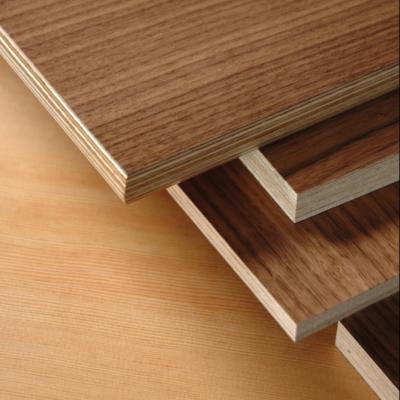 China Custom Modern Birch Poplar 3mm 5mm 7mm 18mm Pine Edlon Melamine Plywood Sheet for sale