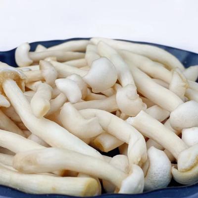 中国 熱い販売法の新しいShimejiのきのこの真空は野菜の健康な軽食のShimejiのきのこを揚げた 販売のため