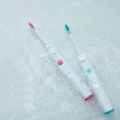 China ML908 IPX8 Waterproof Patent Battery Operated Vibration Sonic Electric Toothbrush with Cheap Price for sale