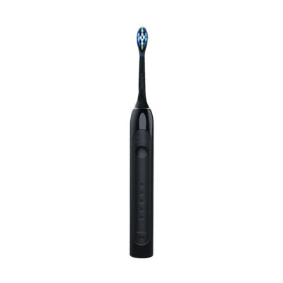 China Electric Toothbrush Battery Operated Electric Travel Dispenser ML918 Portable Toothbrush for sale