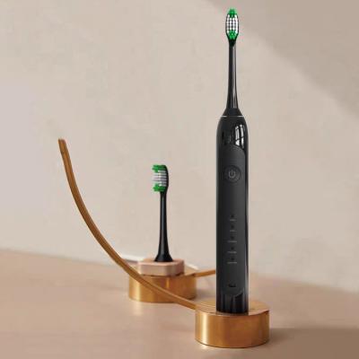 China Cheap Travel SN605 Battery Operated Waterproof Rechargeable Sonic Toothbrush Fair Supplier for sale