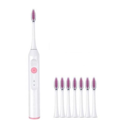 China ML908 IPX8 Waterproof Patent Battery Operated Vibration Sonic Electric Toothbrush with Cheap Price for sale