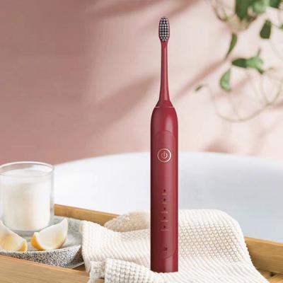 China Rechargeable Battery Operated Hygiene Care Electric Toothbrush For Coralrich Electric Body Brush for sale