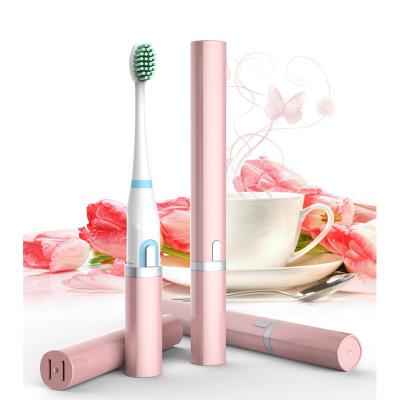 China Battery Operated SA119 2018 Hot Selling Patented Electric Toothbrush With Replaceable Toothbrush Head for sale