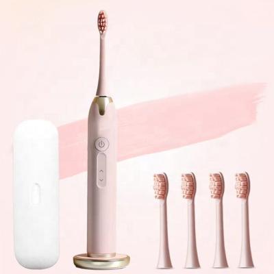 China Sonic Electric Toothbrush Red SA228 IPX7 and Blue Waterproof Battery Operated for sale