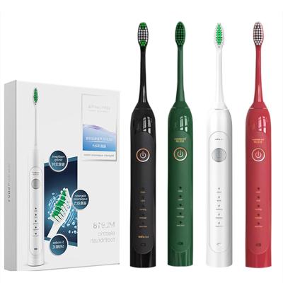 China Battery powered Kangyu Electric Toothbrush Inductive Charger base kids toothbrush for sale