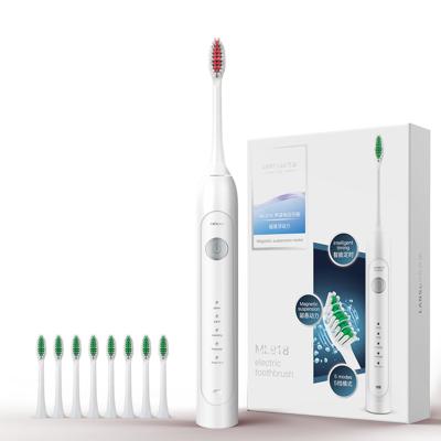 China Battery powered smart sonic toothbrush for adult age group brushes tooth electric toothbrush set for sale