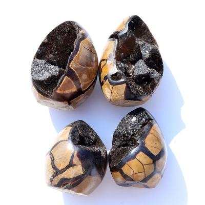 China Europe Cheap Price Natural Septarium Crystal Geode Stone Turtle Crystal Decorative Ball for sale