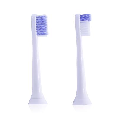 China Hotel Factory Wholesale Adult Brush Heads PINDOSISI Toothbrush Head for sale