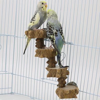 China Viable Parrot Climbed Stairs Bird Platform Perch Playground for Budgie Parakeet Parrot Training Toy for sale