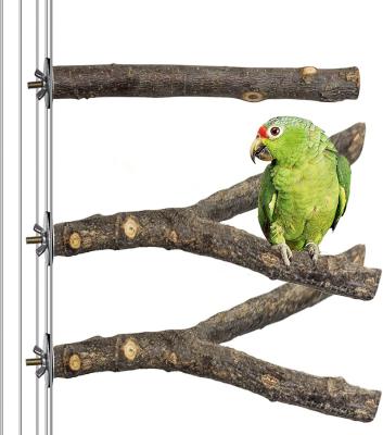 China Viable 3 PCS Natural Wooden Perches For Bird Cages Parrot Bites Play Branch Pole for sale