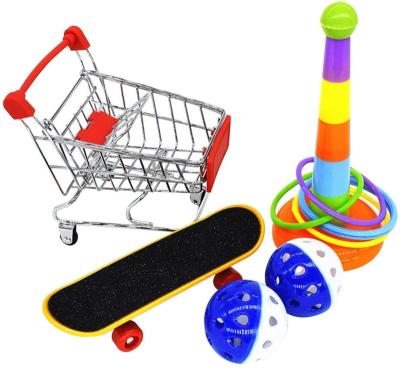 China Bird Trap Parrot Training Pet Supplies Interactive Toy Set Bird Ball 5pcs Mini Skateboard Play Shopping Cart for sale