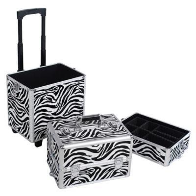 China Professional Aluminum China Beauty Case Trolley / Barber Trolley Case for sale