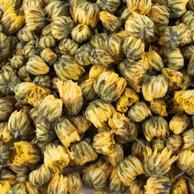 China Chrysanthemum tea in herbal tea bags bud dry chrysanthemum bud for sale