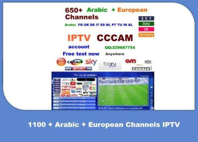 China Smart Android IPTV APP With 650+ Arabic And European Channels for sale