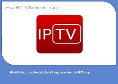 China Hindi, Indien, Urdu, Punjabi, androides IPTV APP-Paket NO.2 der Tamil-Sprachen zu verkaufen