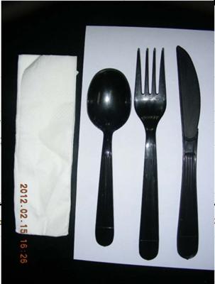 China Napkin Kit Plastic Party Cutlery Disposable OEM / ODM Available for sale