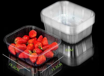 China Clear PET Disposable Salad Boxes 750ml~1600ml Capacity SGS FDA Approval for sale