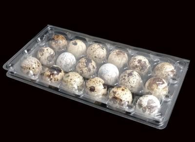 China 18 Hole 3x6 Clear Plastic Egg Trays With Hinged Lid for sale