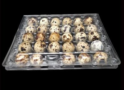 China 30 Cavities Quail Egg Packaging Trays 5x6 hole Range for sale