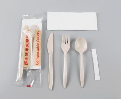 China Degradable Wheat Straw material Cutlery Kits Compostable Disposable Spoon And Fork And Knife for sale