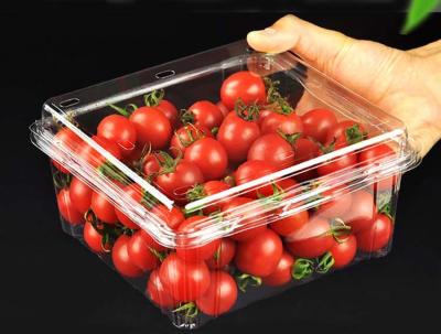 China Transparent Disposable Plastic PET Fruit Packaging Crisper for sale