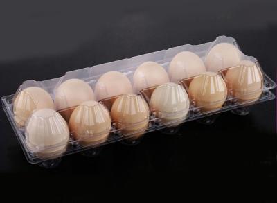 China Hinged Lid Clear 29.5cm Length 12 Cavities Egg Trays for sale