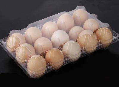 China Waterproof PET Transparent Egg Trays , 15 Cavities Egg Carton Packaging for sale