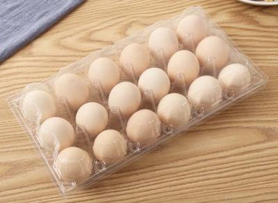 China 18 Cavities Empty Egg Cartons / Clear Plastic Egg Containers Unbreakable for sale