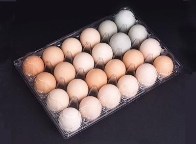 China Lightweight Eco Friendly Clear Plastic Egg Cartons 24 Cavities ISO9001 Approval for sale