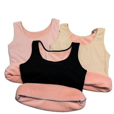 China Viable warm Lady's fleece vest thickened German underwear vest low top non-marking inside cold wear protection autumn and winter for sale