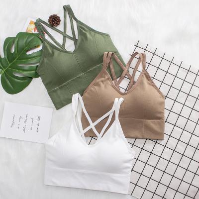 China New QUICK DRY Bralette Tops Women Push Up Bras Sports Bra Strapless Backless Crop Tube Tops Female Seamless Active Bra Size 32 for sale