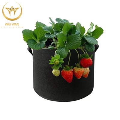 China Eco-friendly Plant 10 15 Gallon Garden Nonwoven Felt Grow Bag For Succulent Plant for sale