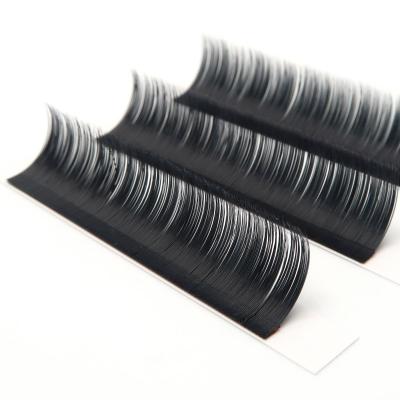 China 100% Seller Natural Handmade Wholesale Ellipse Eyelash Extension Factory Price Long Flat Lashes Extension Customized Packaging for sale