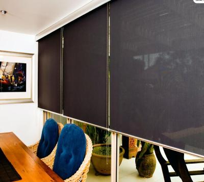 China Available for smart home choice customized motorized roller blind system and exterior clip and zip blinds for sale