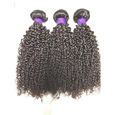 China Hot Sale High Quality Body Wave Suitable Death All Colors Remy Wigs Curly Kinky Curly Raw Hair Extension Hair Bundles for sale